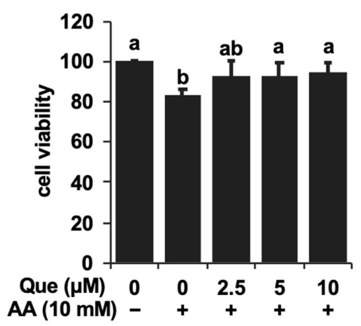 https://cdn.ncbi.nlm.nih.gov/pmc/blobs/084f/11354654/08ee24e7ae29/ijms-25-09038-g001.jpg