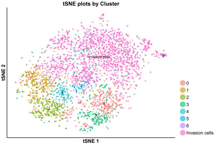 https://cdn.ncbi.nlm.nih.gov/pmc/blobs/084f/6917500/02fcb824705f/elife-47110-fig7-figsupp39.jpg