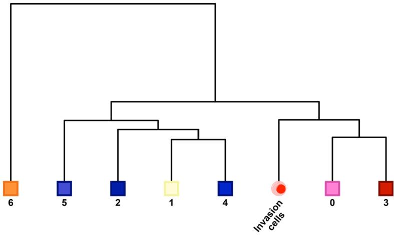https://cdn.ncbi.nlm.nih.gov/pmc/blobs/084f/6917500/2eb68ea7698d/elife-47110-fig7-figsupp41.jpg