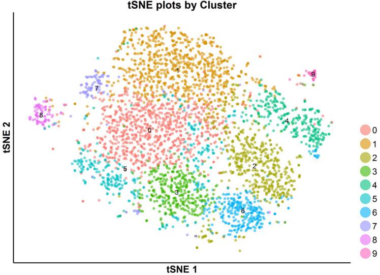 https://cdn.ncbi.nlm.nih.gov/pmc/blobs/084f/6917500/4d1f78ae6256/elife-47110-fig7-figsupp35.jpg