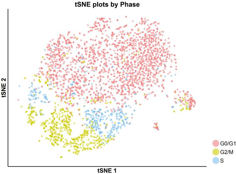 https://cdn.ncbi.nlm.nih.gov/pmc/blobs/084f/6917500/6f7cbd39588c/elife-47110-fig7-figsupp18.jpg