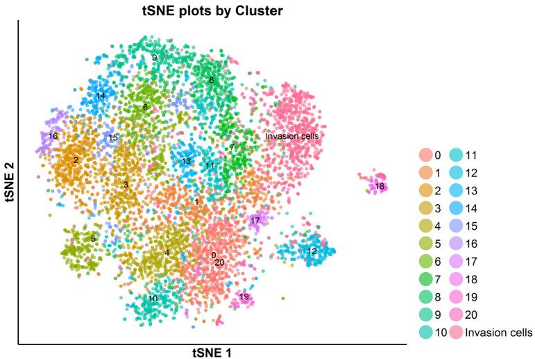 https://cdn.ncbi.nlm.nih.gov/pmc/blobs/084f/6917500/d041bfcb6915/elife-47110-fig7-figsupp38.jpg