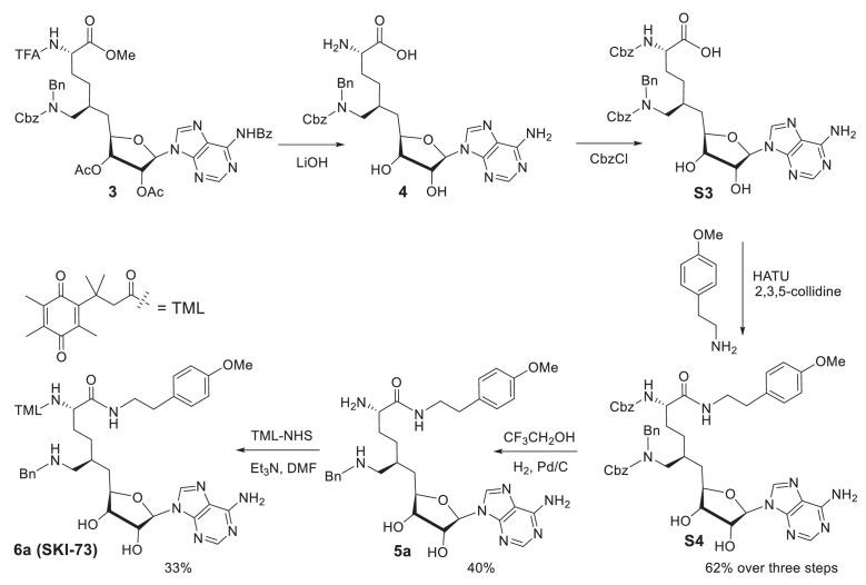 https://cdn.ncbi.nlm.nih.gov/pmc/blobs/084f/6917500/f58bc42e6023/elife-47110-fig1-figsupp2.jpg