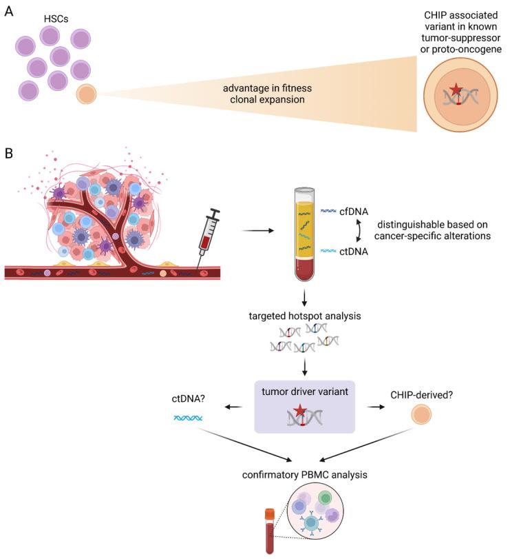 https://cdn.ncbi.nlm.nih.gov/pmc/blobs/0851/11006364/100fc26a6dd9/j_medgen-2023-2066_fig_003.jpg