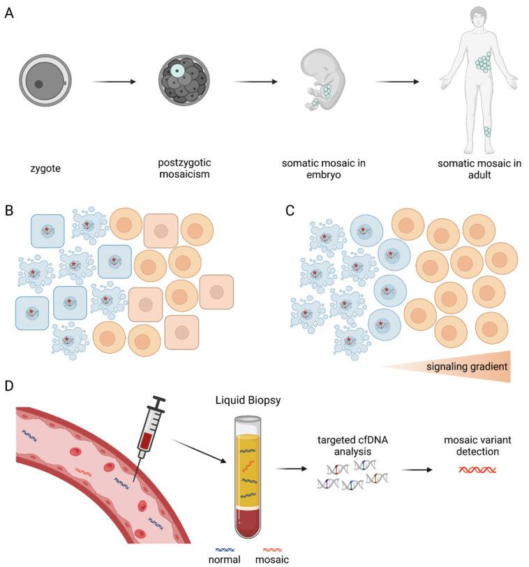 https://cdn.ncbi.nlm.nih.gov/pmc/blobs/0851/11006364/a2efbd7a6e06/j_medgen-2023-2066_fig_002.jpg