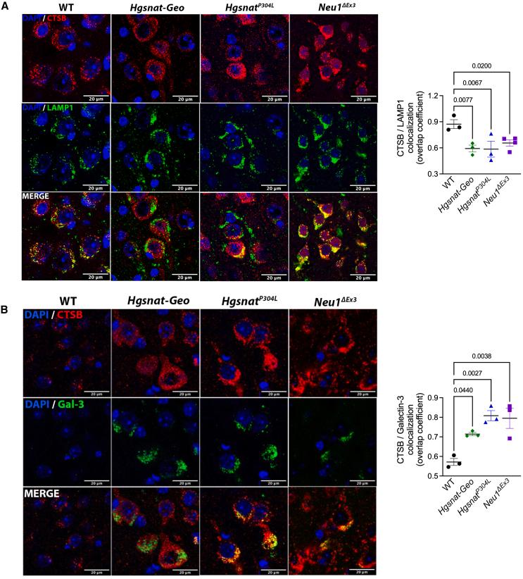 https://cdn.ncbi.nlm.nih.gov/pmc/blobs/0855/11910108/657cb63d346f/gr2.jpg