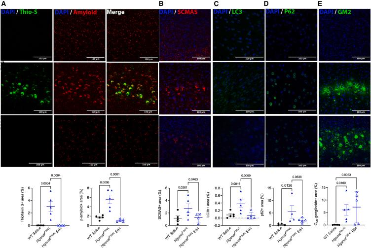 https://cdn.ncbi.nlm.nih.gov/pmc/blobs/0855/11910108/a013625481fe/gr7.jpg