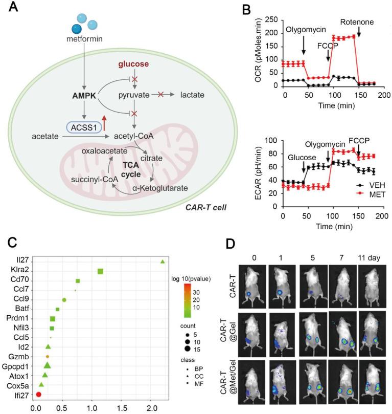 https://cdn.ncbi.nlm.nih.gov/pmc/blobs/0856/11700864/1b242d89b572/thnov15p0993g006.jpg