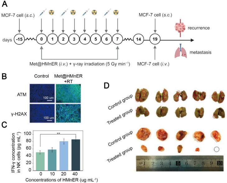 https://cdn.ncbi.nlm.nih.gov/pmc/blobs/0856/11700864/d87fe1ec8c20/thnov15p0993g005.jpg