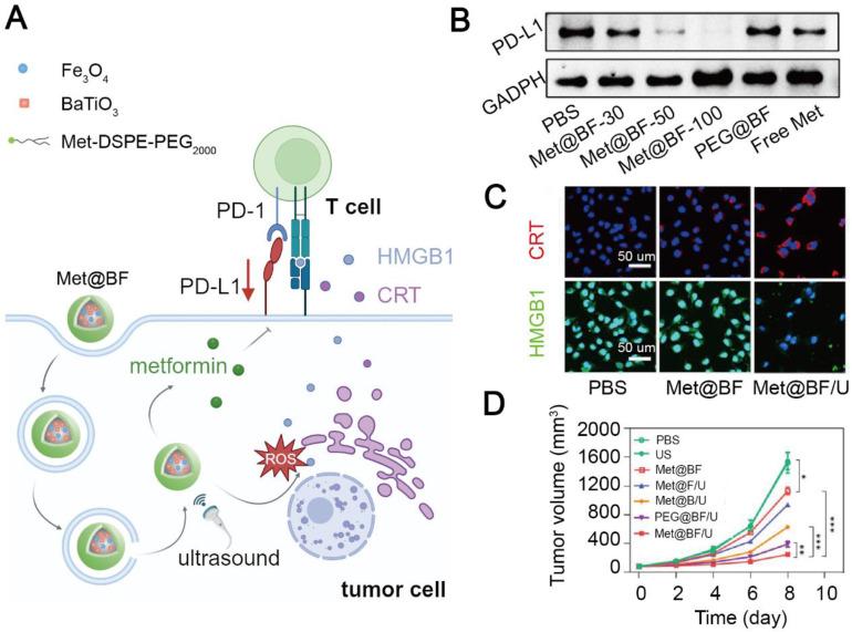 https://cdn.ncbi.nlm.nih.gov/pmc/blobs/0856/11700864/e664a5bd1f41/thnov15p0993g004.jpg