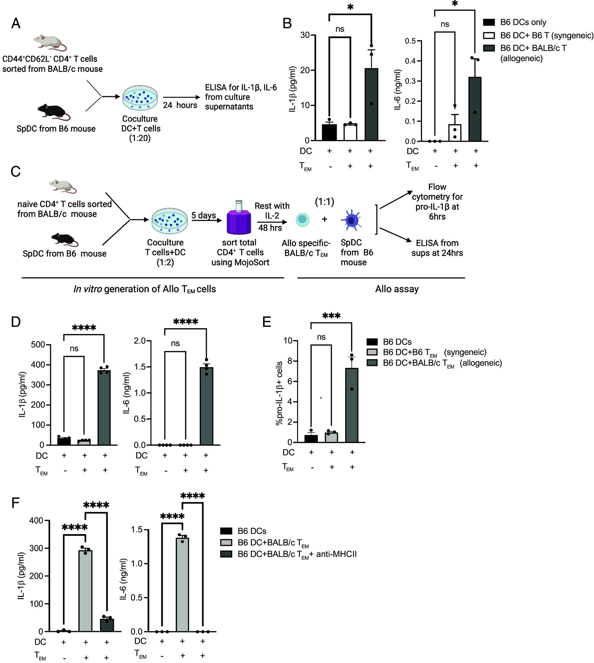 https://cdn.ncbi.nlm.nih.gov/pmc/blobs/0857/11348247/1b7017e86f77/pnas.2401658121fig01.jpg