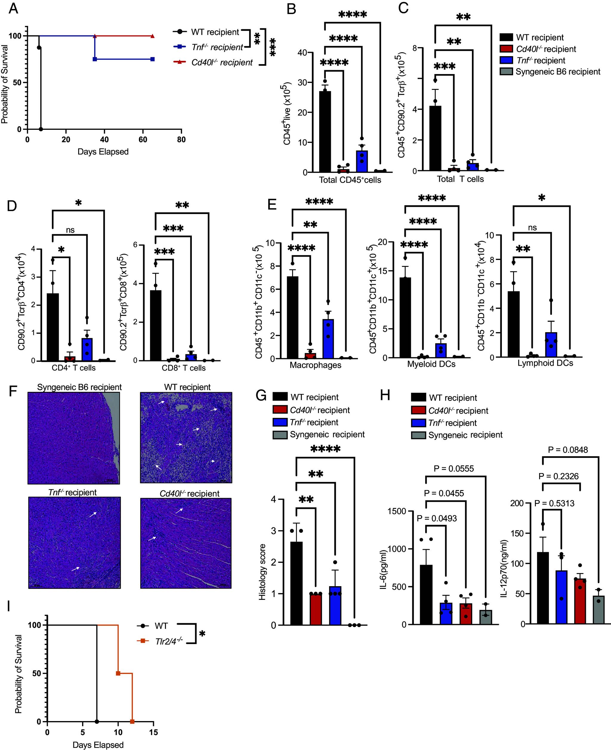 https://cdn.ncbi.nlm.nih.gov/pmc/blobs/0857/11348247/493cff4074aa/pnas.2401658121fig04.jpg