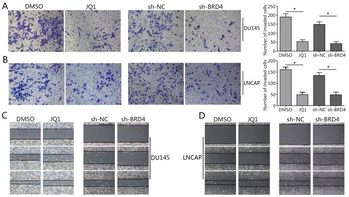 https://cdn.ncbi.nlm.nih.gov/pmc/blobs/0859/6203153/336ae5e8c517/IJO-53-06-2503-g03.jpg