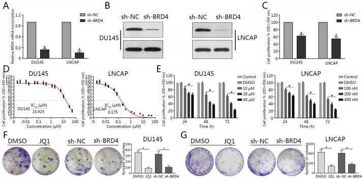 https://cdn.ncbi.nlm.nih.gov/pmc/blobs/0859/6203153/6fc82e0b6b76/IJO-53-06-2503-g01.jpg