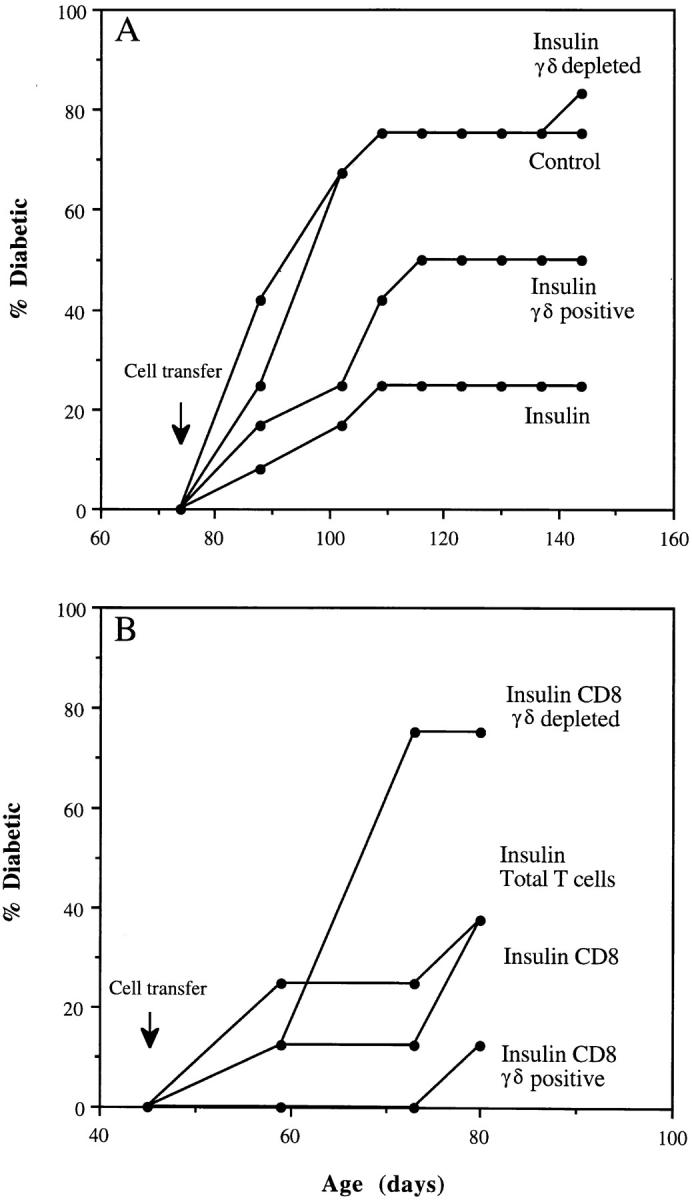 https://cdn.ncbi.nlm.nih.gov/pmc/blobs/085a/2196363/9e161900eae2/JEM.harrison2.jpg