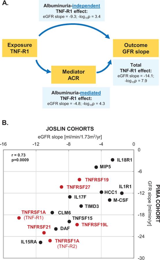 https://cdn.ncbi.nlm.nih.gov/pmc/blobs/085a/6508971/d58e3ab53109/nihms-1523522-f0002.jpg
