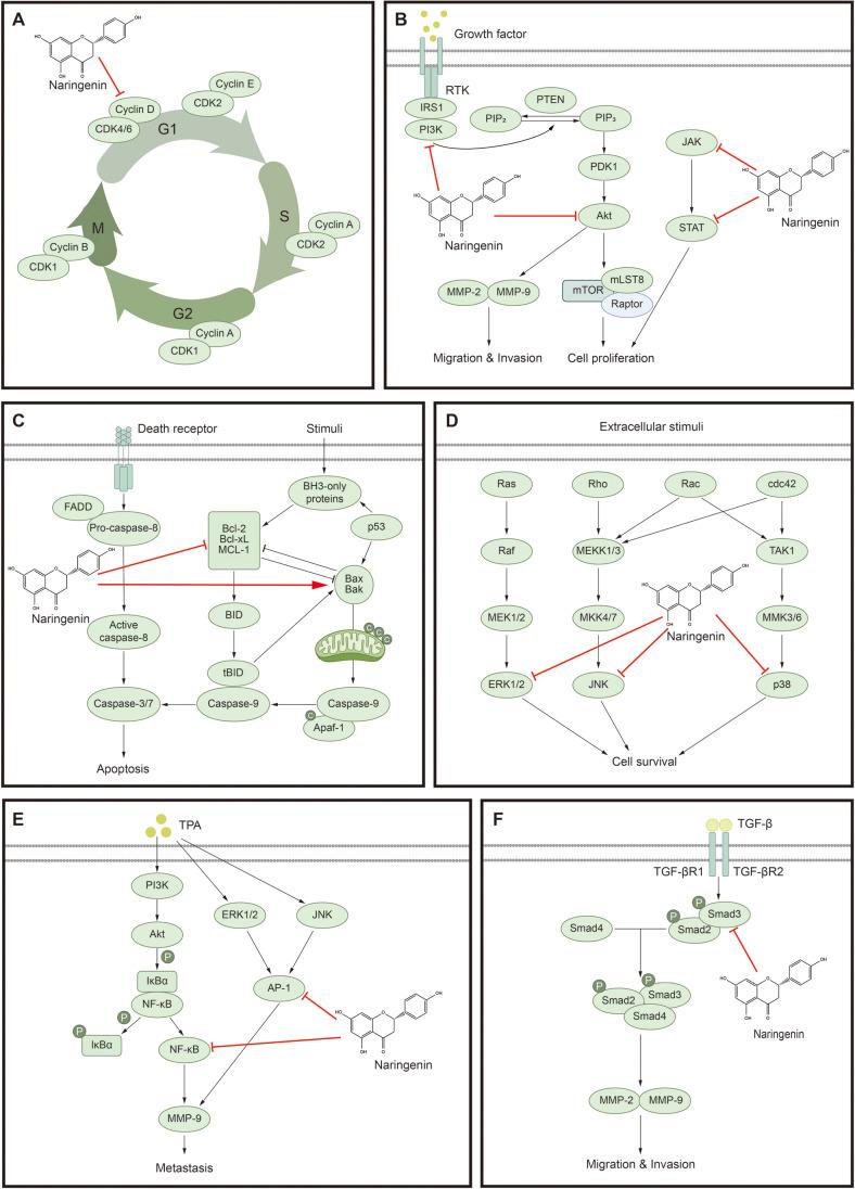https://cdn.ncbi.nlm.nih.gov/pmc/blobs/085b/11733549/dca0b9be9a1b/jmb-34-12-2425-f2.jpg