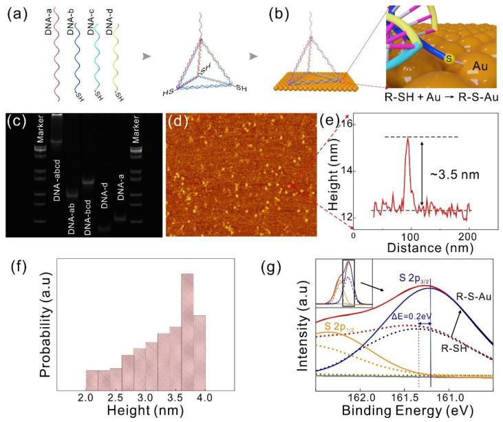 https://cdn.ncbi.nlm.nih.gov/pmc/blobs/085c/7924822/8645b3c71843/nanomaterials-11-00545-g002.jpg