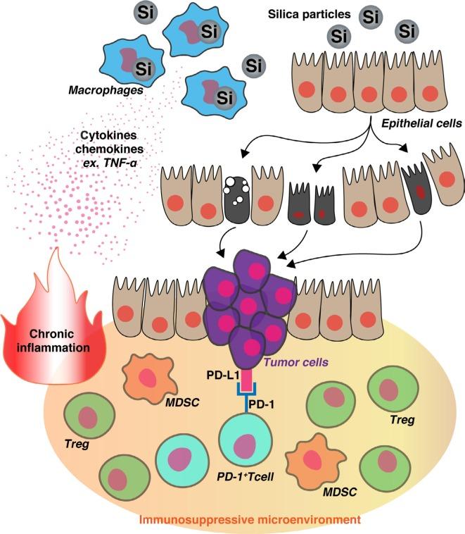 https://cdn.ncbi.nlm.nih.gov/pmc/blobs/085e/6207090/ce010f756ba3/lctt-9-091Fig2.jpg