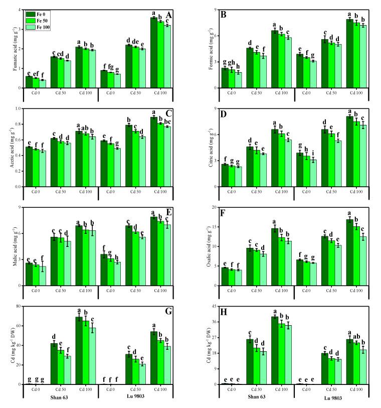 https://cdn.ncbi.nlm.nih.gov/pmc/blobs/085e/7766819/21c88eb0b9ee/biomolecules-10-01693-g007.jpg