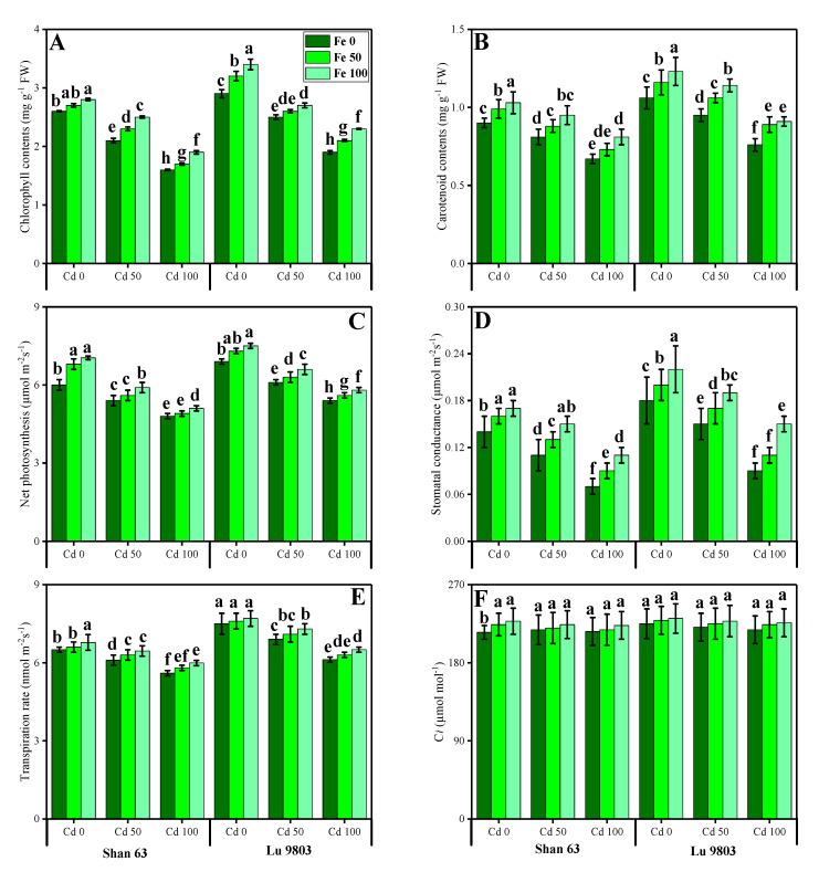 https://cdn.ncbi.nlm.nih.gov/pmc/blobs/085e/7766819/fa5173b03131/biomolecules-10-01693-g002.jpg