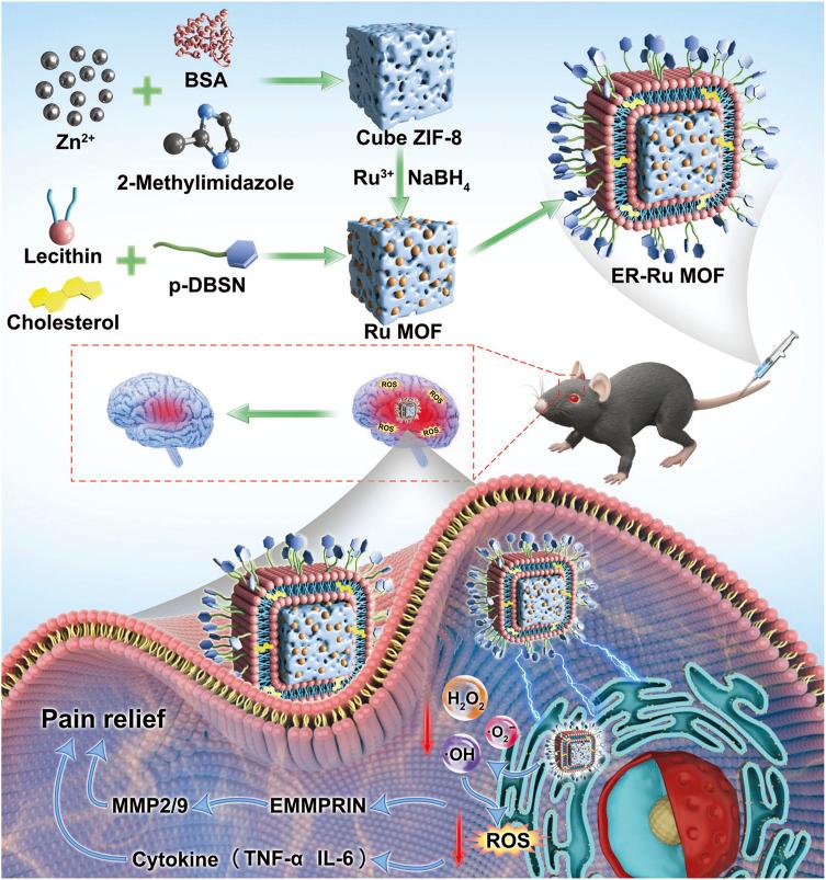 https://cdn.ncbi.nlm.nih.gov/pmc/blobs/085f/11119330/76ec013be132/fbioe-12-1363227-g003.jpg