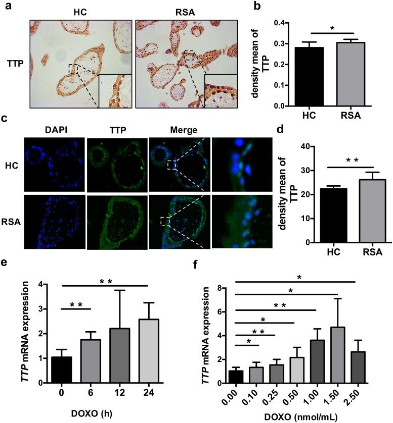 https://cdn.ncbi.nlm.nih.gov/pmc/blobs/0861/5489185/e0938c9db836/pone.0179852.g004.jpg