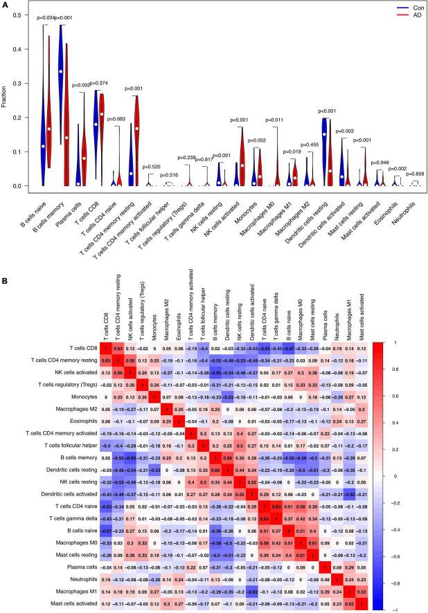 https://cdn.ncbi.nlm.nih.gov/pmc/blobs/0861/9372364/2ad764bc8728/fnagi-14-919614-g007.jpg