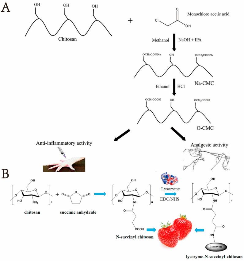 https://cdn.ncbi.nlm.nih.gov/pmc/blobs/0863/9410415/f56a2ca980ed/marinedrugs-20-00536-g001.jpg