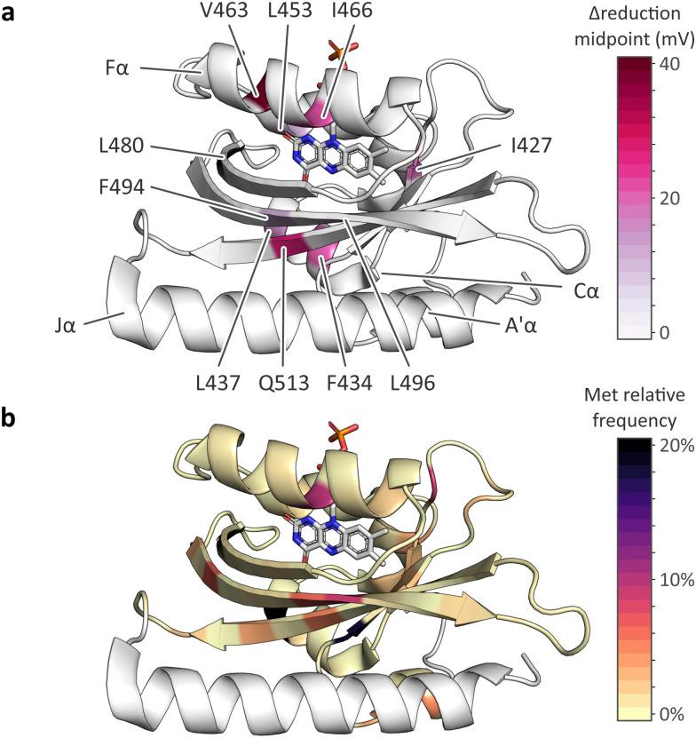 https://cdn.ncbi.nlm.nih.gov/pmc/blobs/0864/11151830/056373a06033/d4cb00056k-f6.jpg