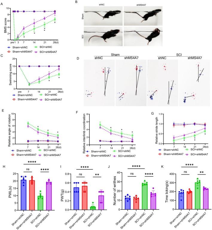 https://cdn.ncbi.nlm.nih.gov/pmc/blobs/0865/12168239/5f3f59a9d425/CNS-31-e70390-g006.jpg