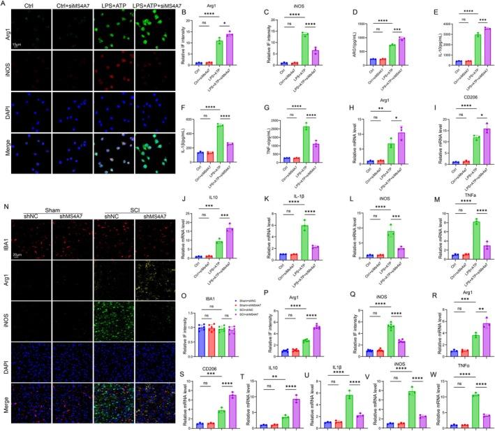 https://cdn.ncbi.nlm.nih.gov/pmc/blobs/0865/12168239/9102b23daf95/CNS-31-e70390-g005.jpg