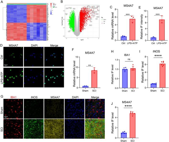 https://cdn.ncbi.nlm.nih.gov/pmc/blobs/0865/12168239/cd4cb8c5a019/CNS-31-e70390-g009.jpg