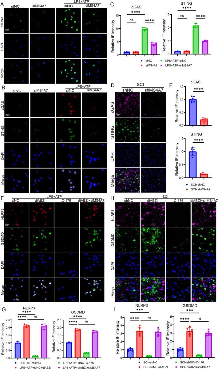 https://cdn.ncbi.nlm.nih.gov/pmc/blobs/0865/12168239/cd5a59797902/CNS-31-e70390-g004.jpg