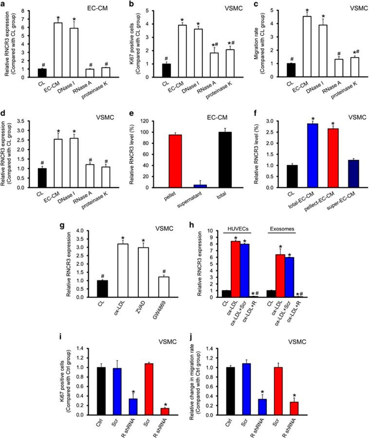 https://cdn.ncbi.nlm.nih.gov/pmc/blobs/0866/5143375/95fbeaae9952/cddis2016145f6.jpg