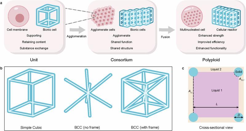 https://cdn.ncbi.nlm.nih.gov/pmc/blobs/0868/11222485/161656d1e351/41467_2024_49953_Fig1_HTML.jpg