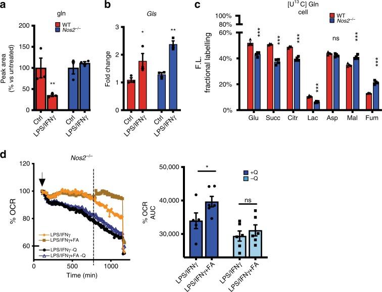 https://cdn.ncbi.nlm.nih.gov/pmc/blobs/0868/7000728/07249cd2f0db/41467_2020_14433_Fig5_HTML.jpg