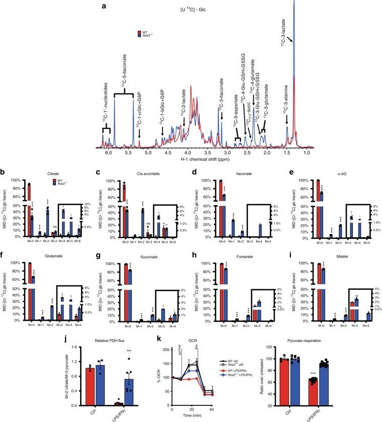 https://cdn.ncbi.nlm.nih.gov/pmc/blobs/0868/7000728/3bc2c1b38929/41467_2020_14433_Fig3_HTML.jpg