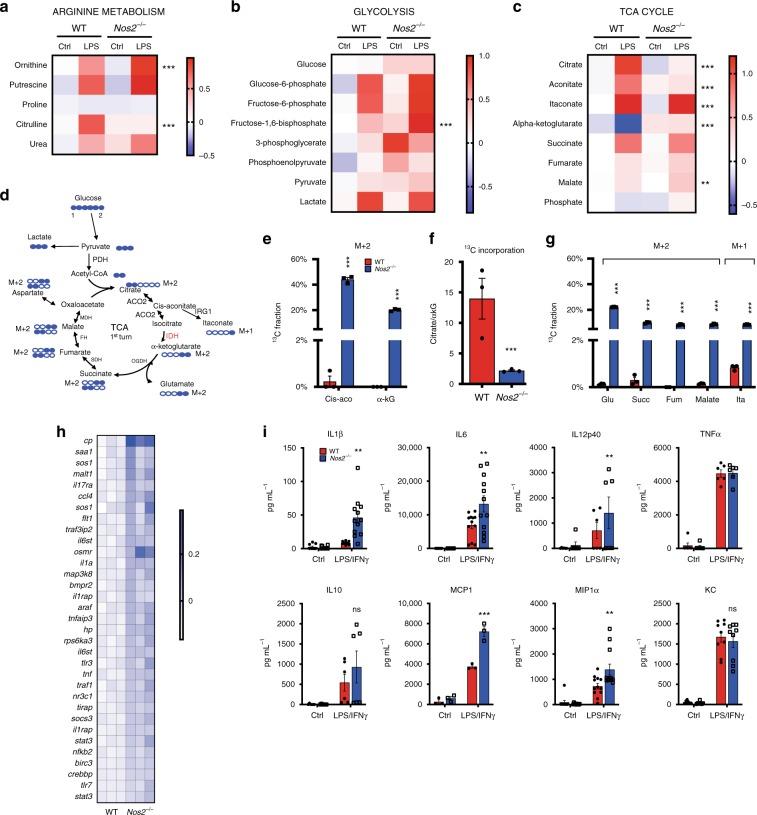 https://cdn.ncbi.nlm.nih.gov/pmc/blobs/0868/7000728/62d392060ce3/41467_2020_14433_Fig1_HTML.jpg