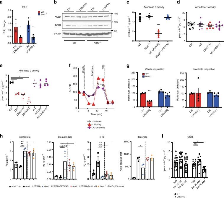 https://cdn.ncbi.nlm.nih.gov/pmc/blobs/0868/7000728/b41226978d7c/41467_2020_14433_Fig2_HTML.jpg