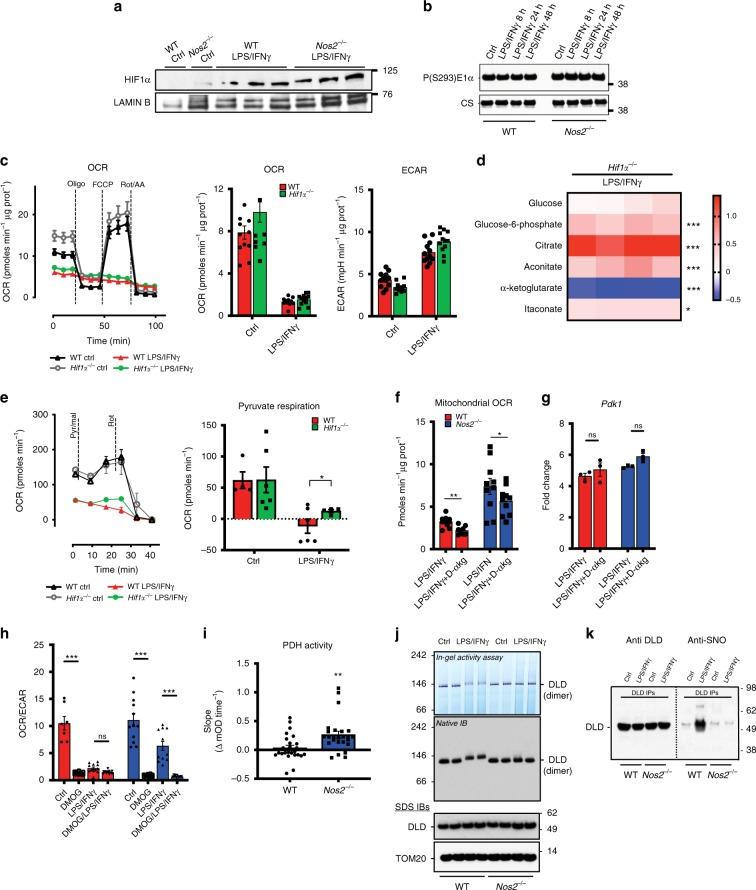 https://cdn.ncbi.nlm.nih.gov/pmc/blobs/0868/7000728/c44027ee11f9/41467_2020_14433_Fig4_HTML.jpg