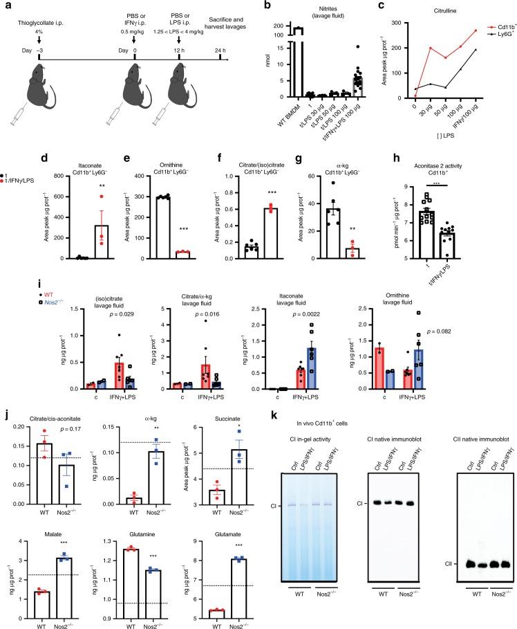 https://cdn.ncbi.nlm.nih.gov/pmc/blobs/0868/7000728/e085cc8b35aa/41467_2020_14433_Fig7_HTML.jpg