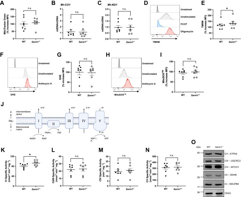 https://cdn.ncbi.nlm.nih.gov/pmc/blobs/086a/10847163/5b73848a60ed/gr3.jpg