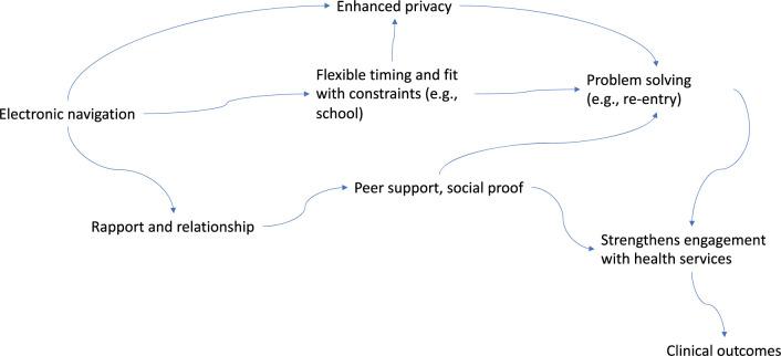 https://cdn.ncbi.nlm.nih.gov/pmc/blobs/086b/11717212/9b5d0bd31fb7/pgph.0002830.g001.jpg