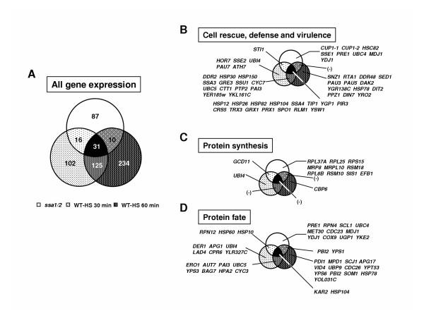 https://cdn.ncbi.nlm.nih.gov/pmc/blobs/086c/1262714/af2f0c218d73/1471-2164-6-141-5.jpg