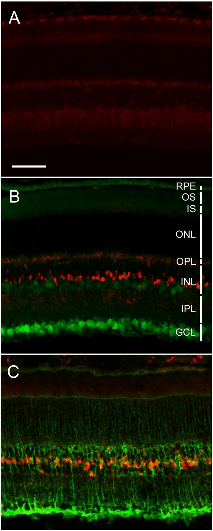 https://cdn.ncbi.nlm.nih.gov/pmc/blobs/086c/4171539/e7af65398518/pone.0108524.g004.jpg