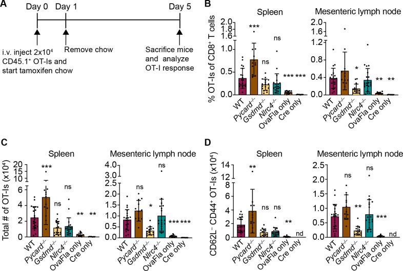 https://cdn.ncbi.nlm.nih.gov/pmc/blobs/086c/8719880/14df0ebdb7aa/elife-72082-fig3.jpg