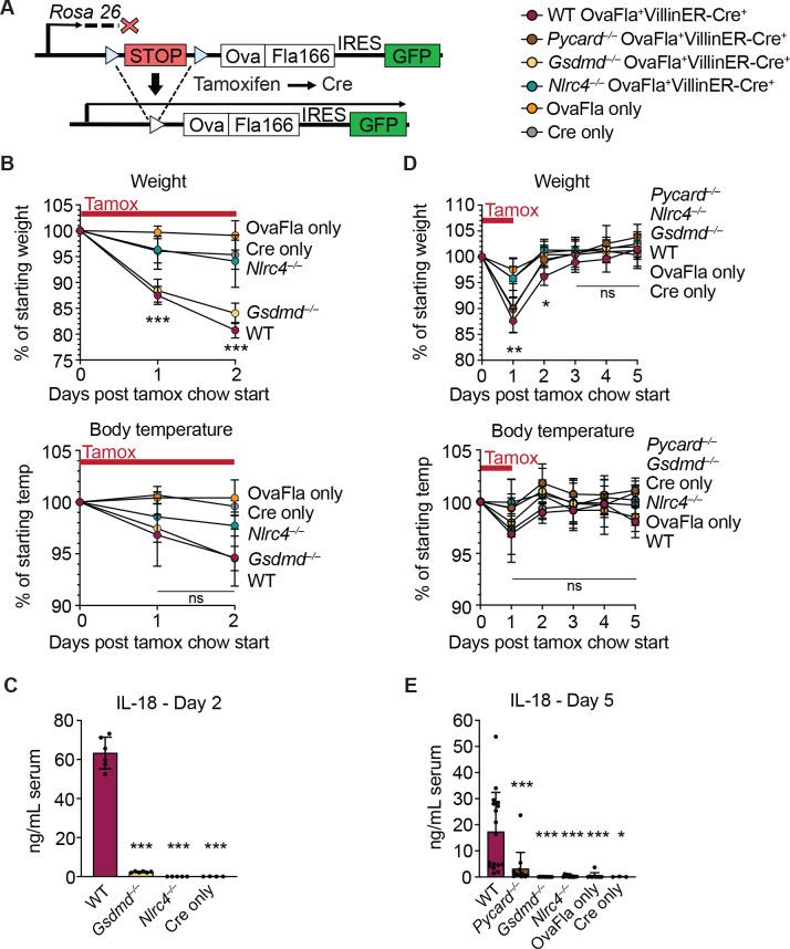 https://cdn.ncbi.nlm.nih.gov/pmc/blobs/086c/8719880/4278f3cfe437/elife-72082-fig1.jpg