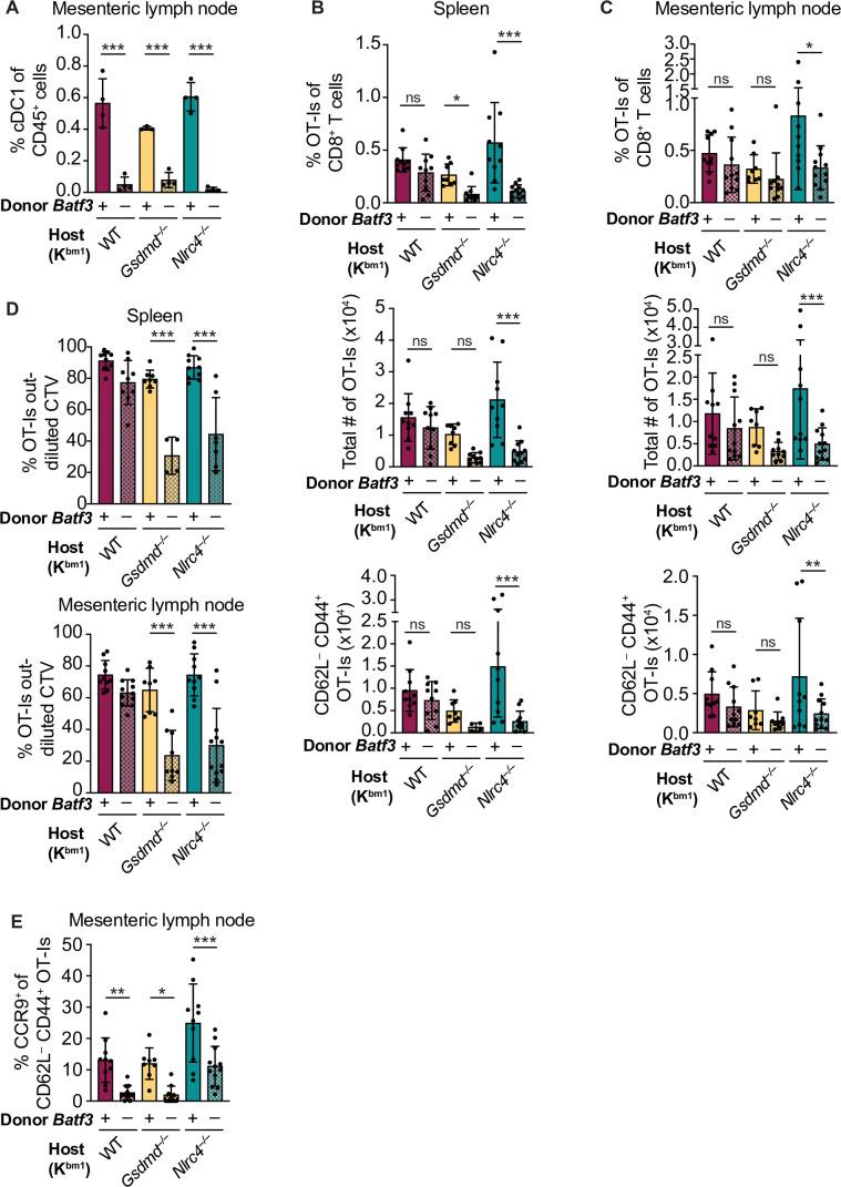 https://cdn.ncbi.nlm.nih.gov/pmc/blobs/086c/8719880/ce08ce00fc02/elife-72082-fig5.jpg