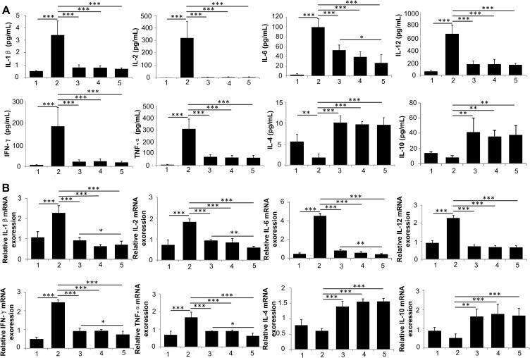 https://cdn.ncbi.nlm.nih.gov/pmc/blobs/086d/10826715/638655f63f27/IJN-19-901-g0006.jpg